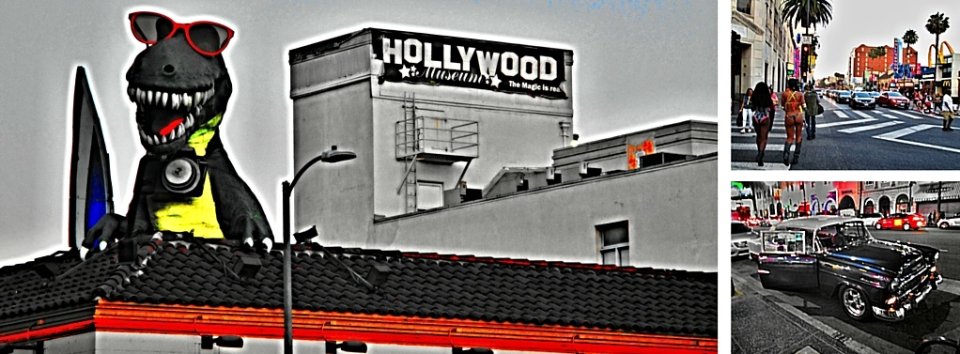 Hollywood web (7)